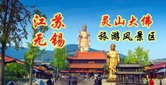 日本免费高清扣逼视频江苏无锡灵山大佛旅游风景区