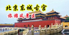 男人鸡吧插进女人逼里喷水视频中国北京-东城古宫旅游风景区